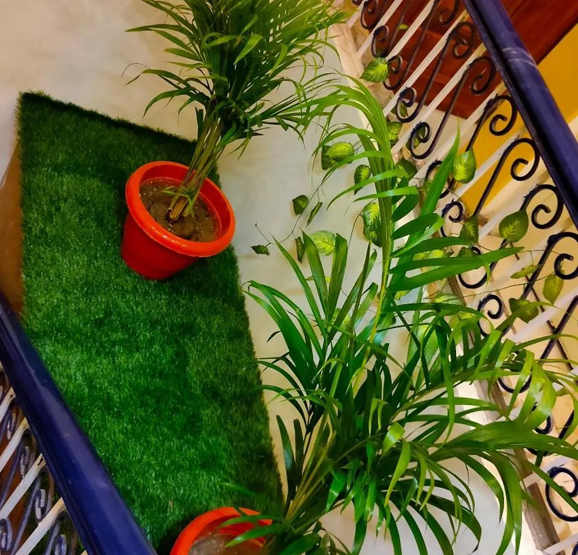 بيت ضيافة فندق Sri Krishna Residency فاراناسي الهند